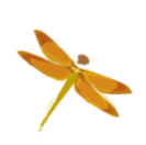 Amberwing Center for Youth and Family Well Being – Duluth