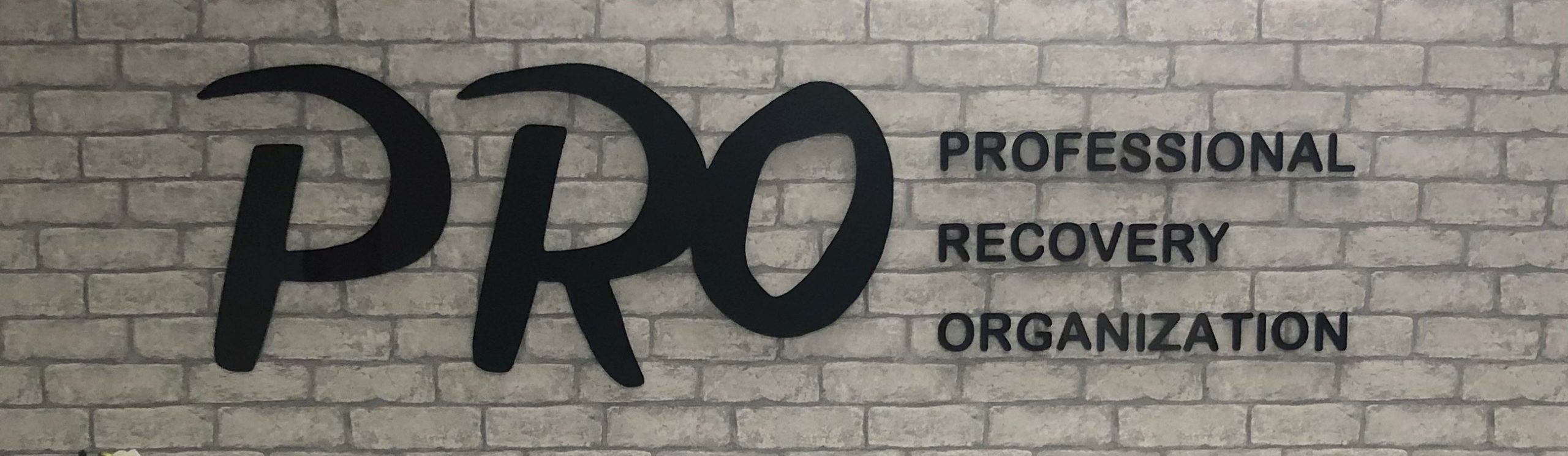 Professional Recovery Organization