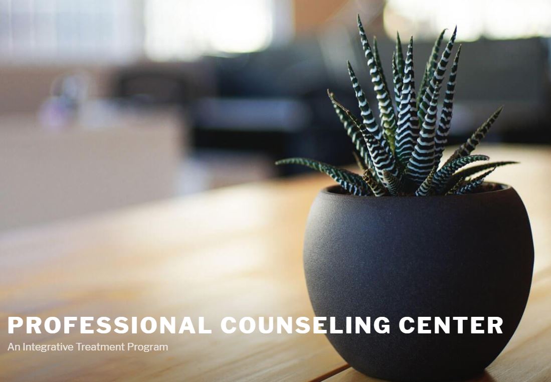 Professional Counseling Center